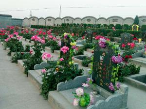 汤阴飞凤岭陵园
